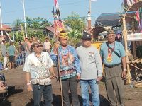 Dua kerbau albino pada Ritual Tiwah Kereng Bangkirai di Palangka Raya.