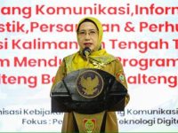 Dukung Percepatan Transformasi Digital, Pemprov Kalteng Tingkatkan Koordinasi
