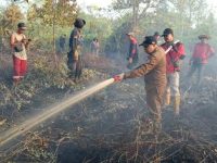 Tim DALKARHUTLA Dinas Kehutanan Kalimantan Tengah melakukan pemadaman karhutla di Tumbang Nusa, Pulang Pisau.