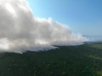 Kabut Asap Palangka Raya akibat kebakaran hutan dan lahan.