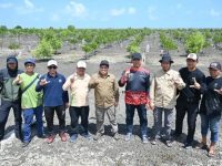 Pelestarian mangrove di Seruyan oleh Kadishut Kalteng