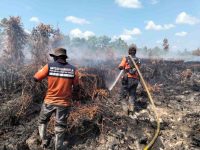 Karhutla meluas di Kalteng, Satgas mengerahkan operasi udara dan darat untuk pemadaman kebakaran hutan dan lahan.